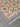 Addison - Floral with Double Border Outline